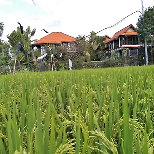Umah Watu 4*, Seminyak (Bali) Indonesia